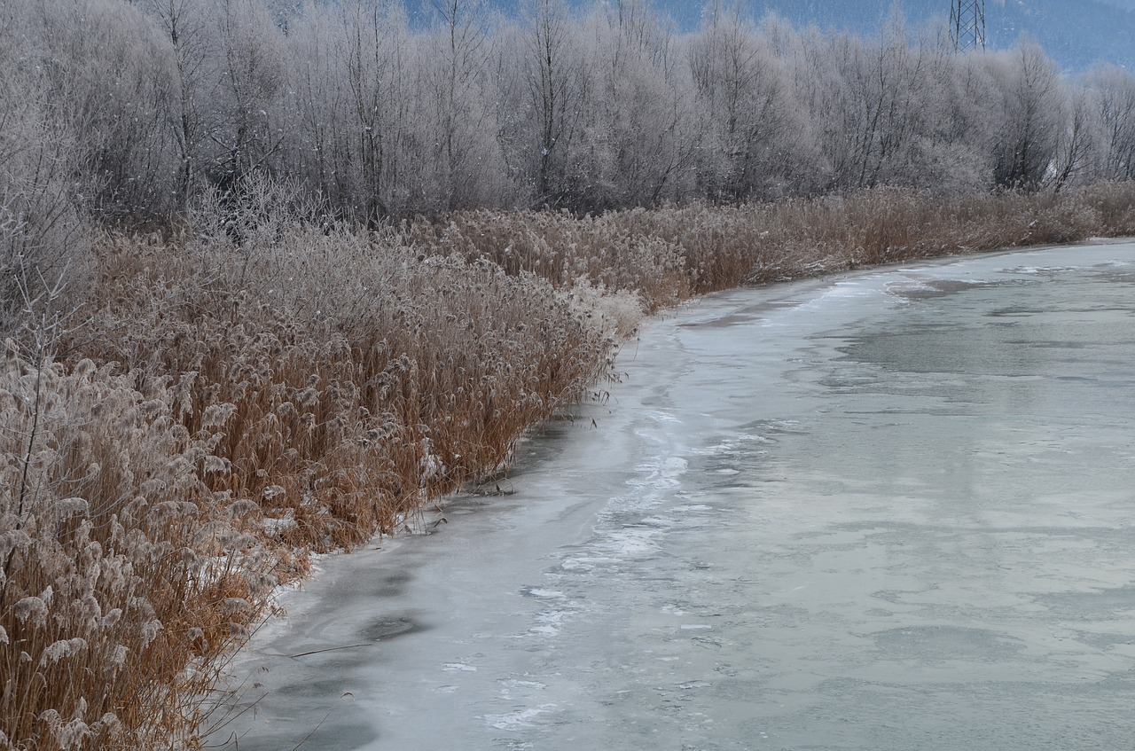 snow  frost  ice free photo