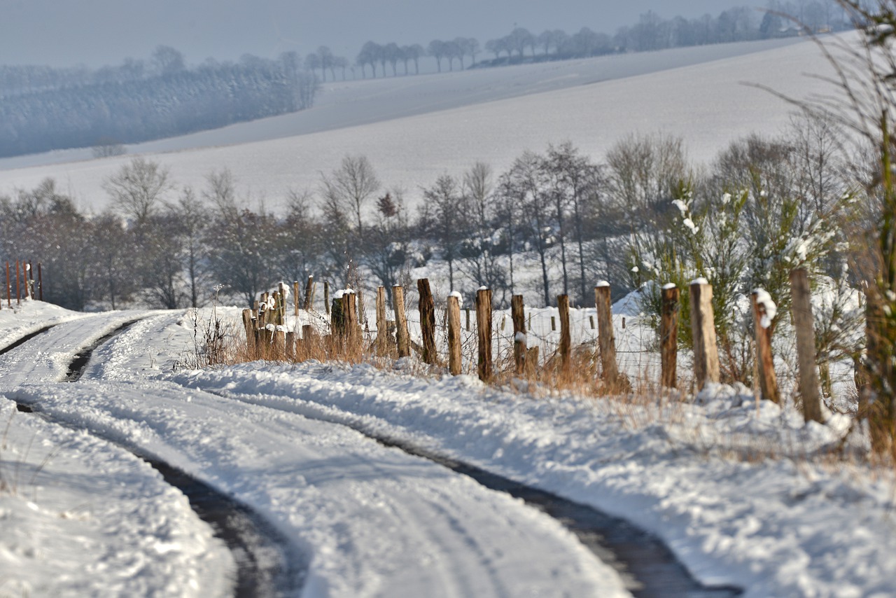 snow  landscape  cold free photo