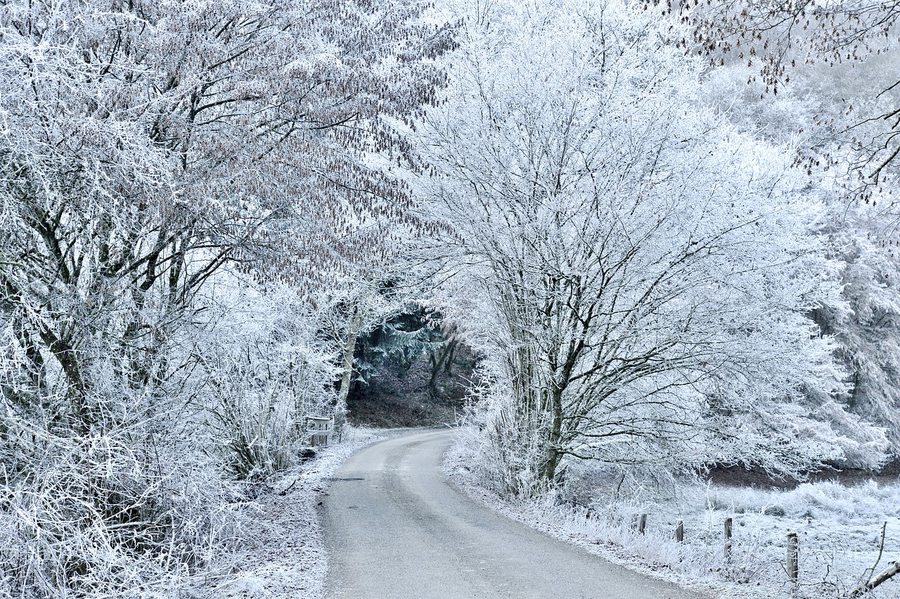 snow  winter  cold free photo