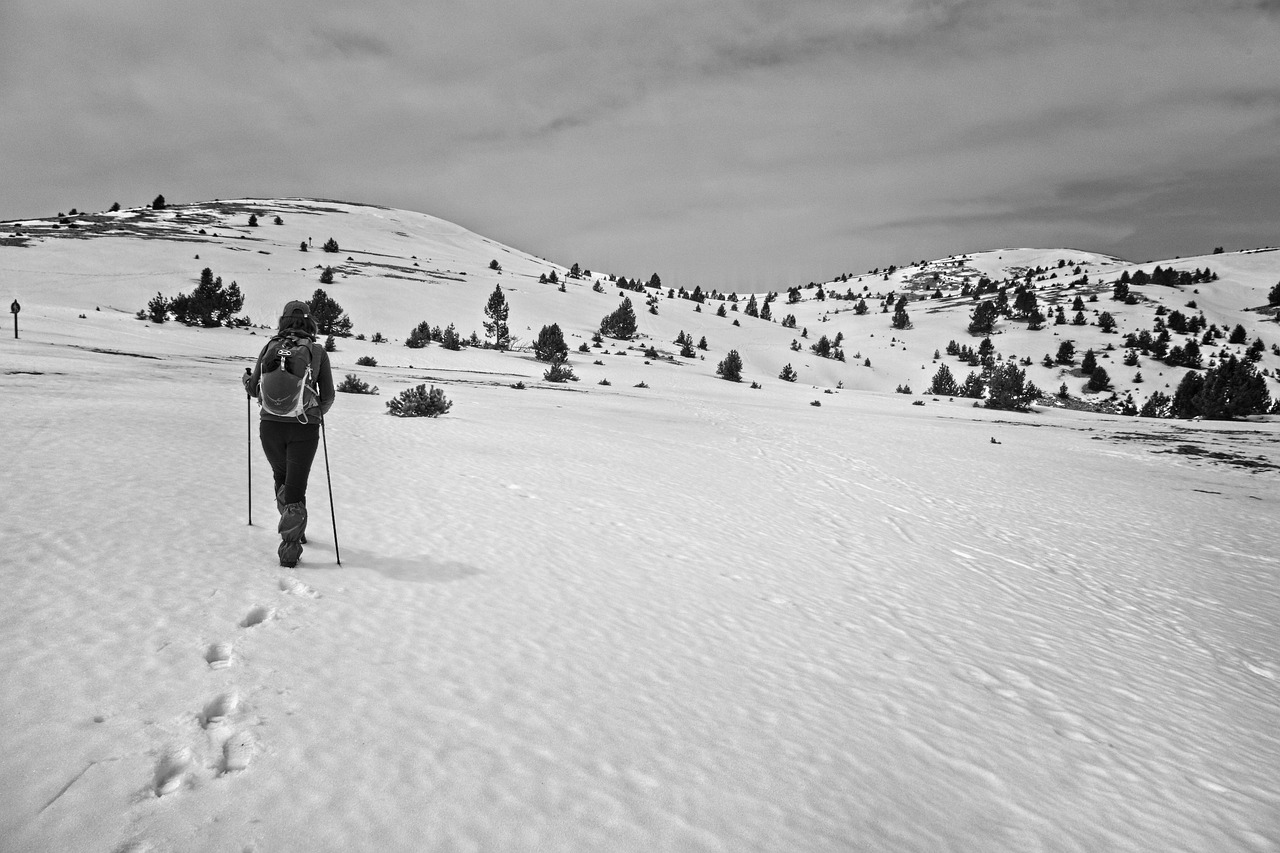 snow  skimo  black and white free photo