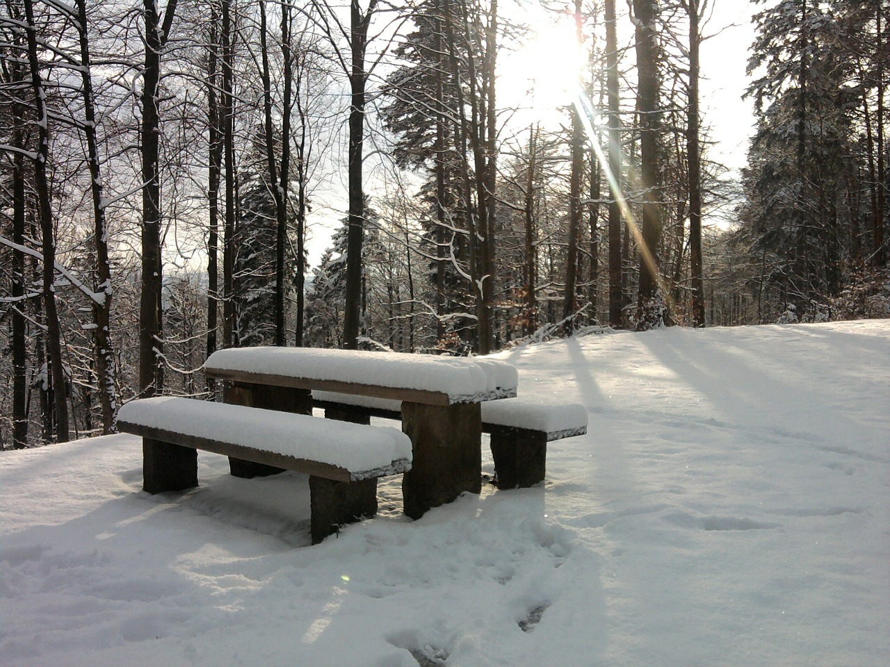 snow bank picnic free photo