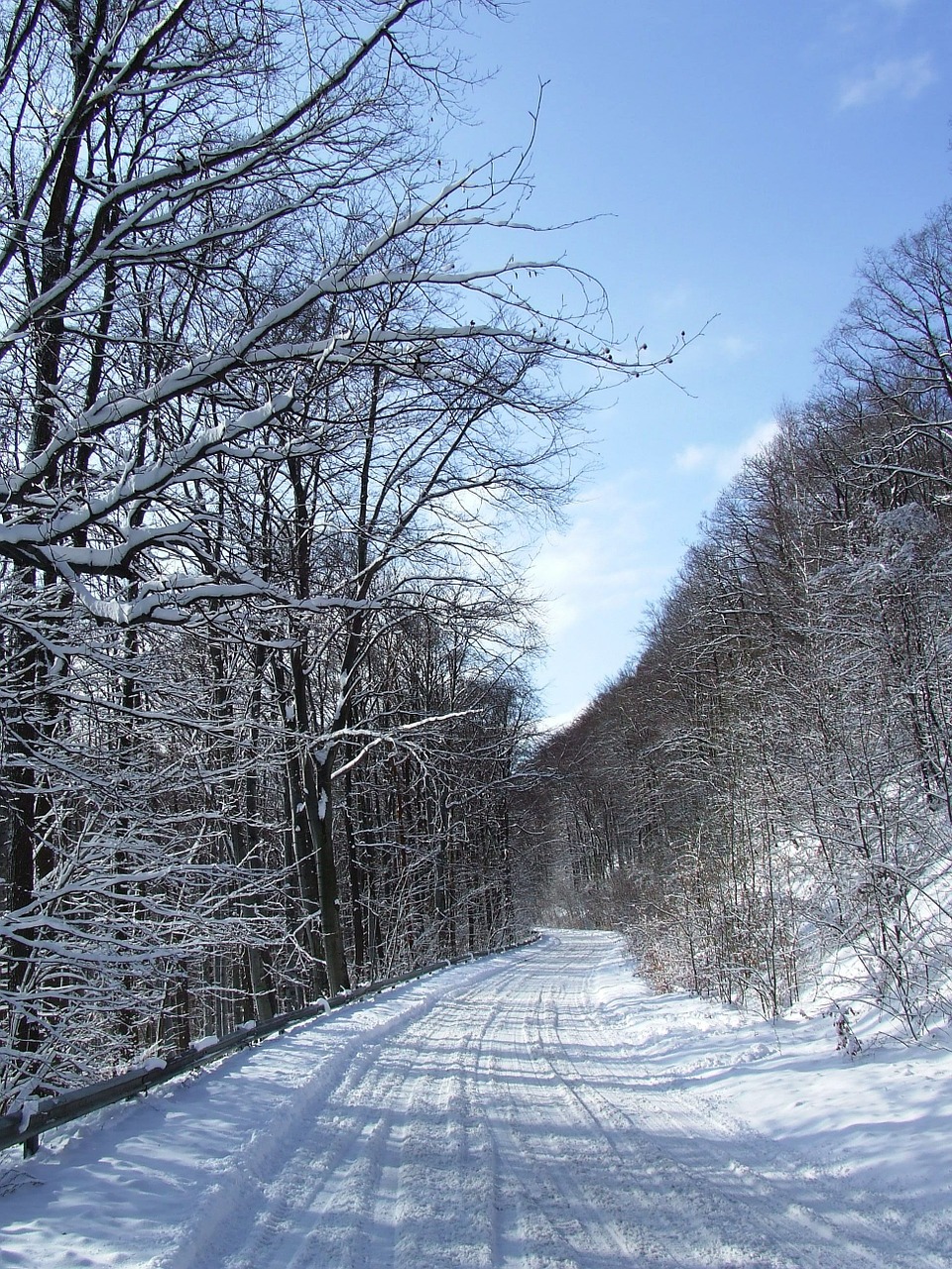 snow winter beech mountain free photo