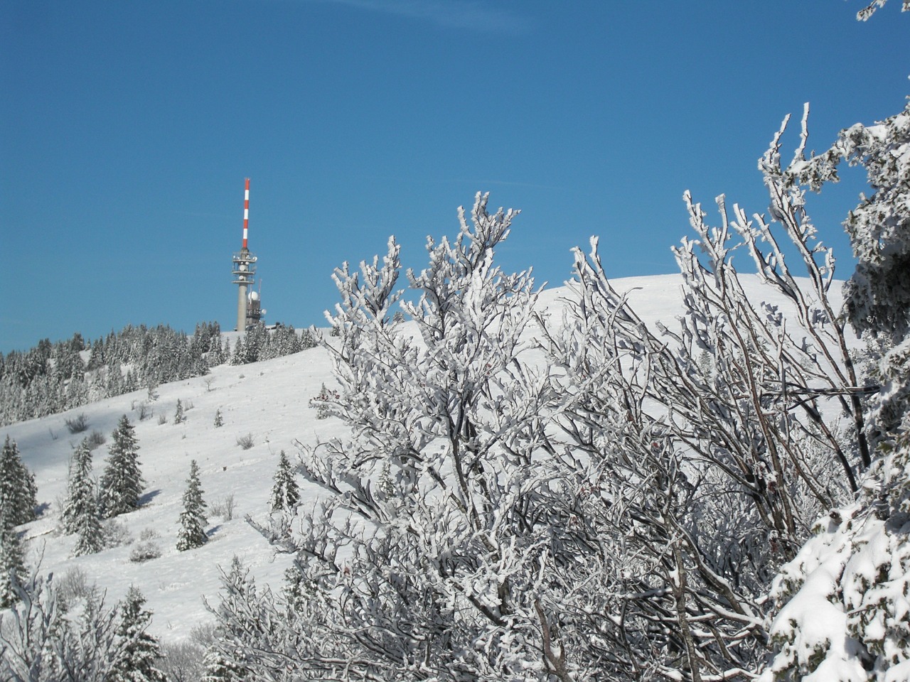 snow snow landscape black forest free photo