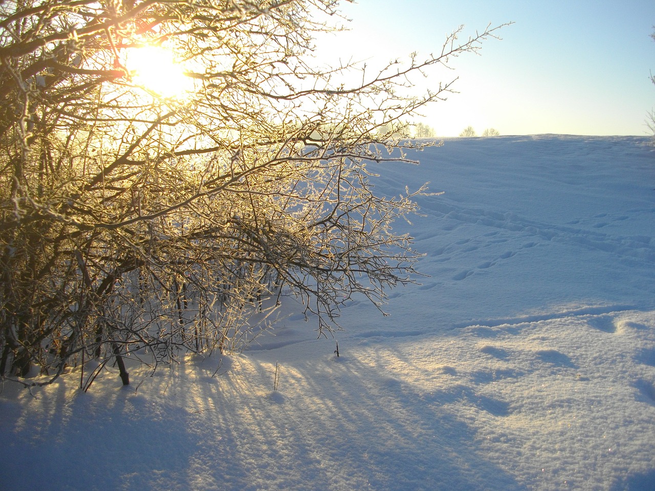 snow nature sun free photo