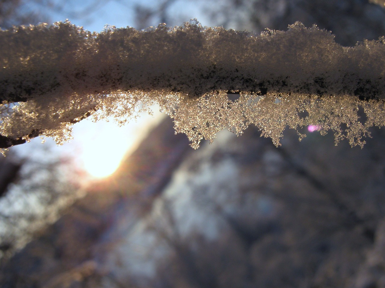 snow frost winter free photo