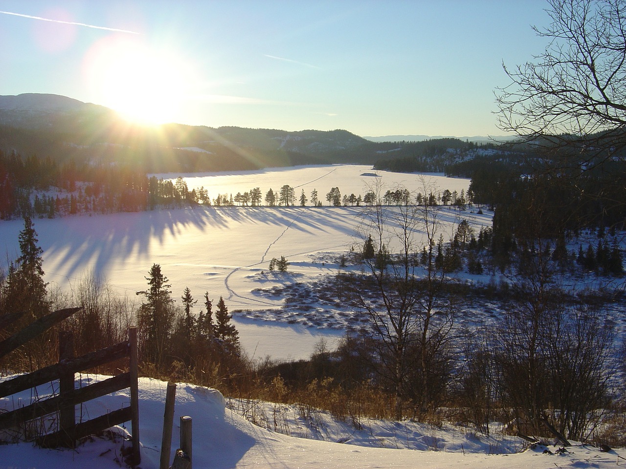 snow nature winter free photo