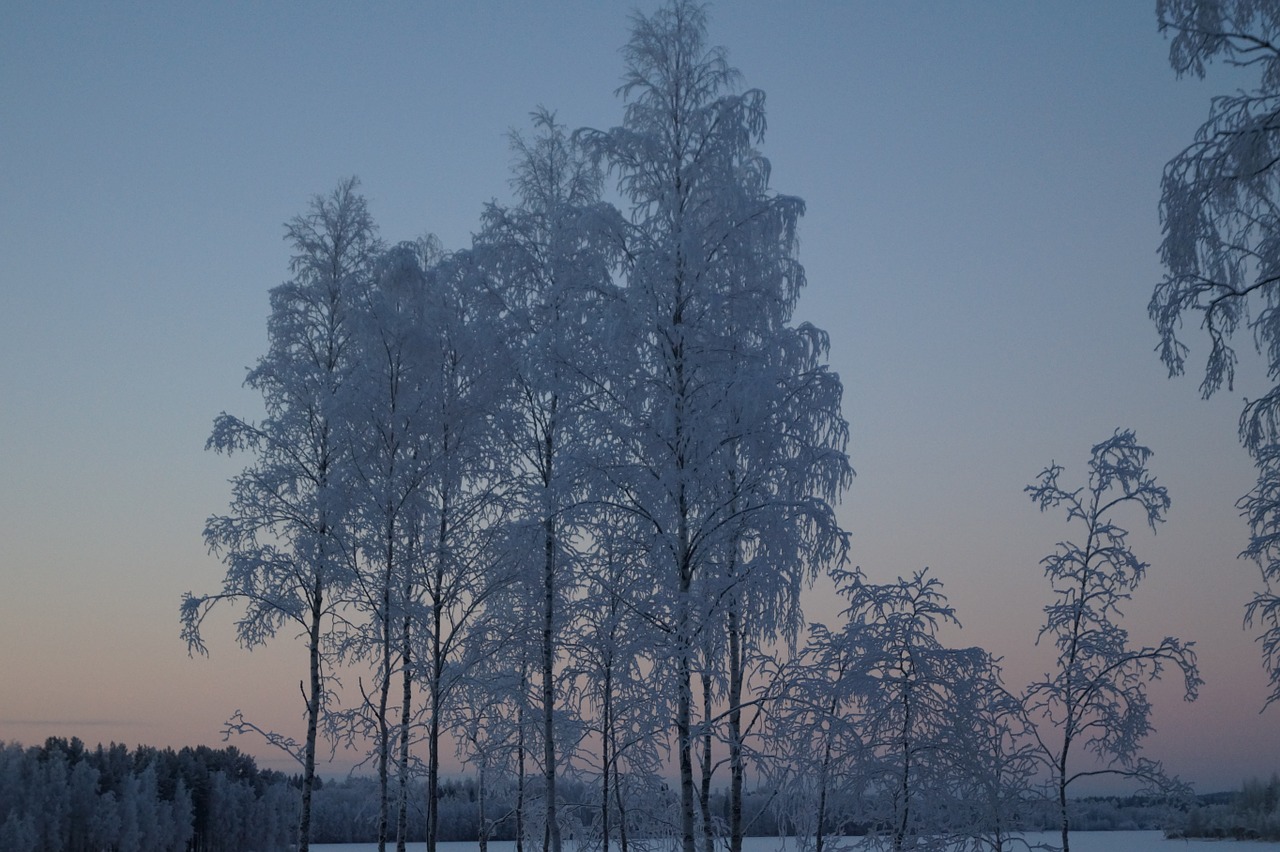snow finnish finland free photo