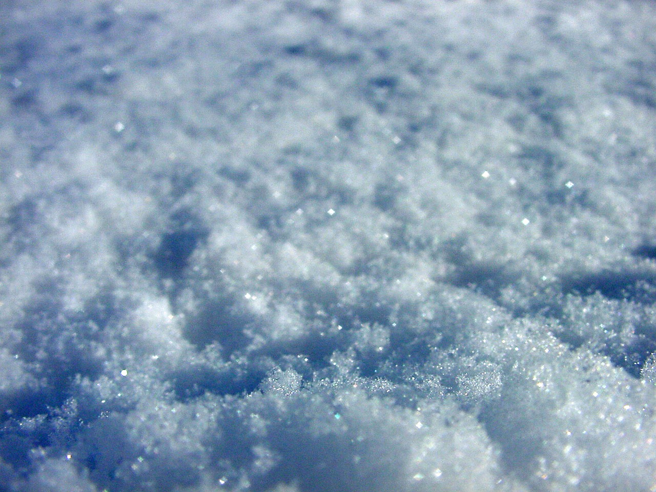 snow cold snowflakes free photo