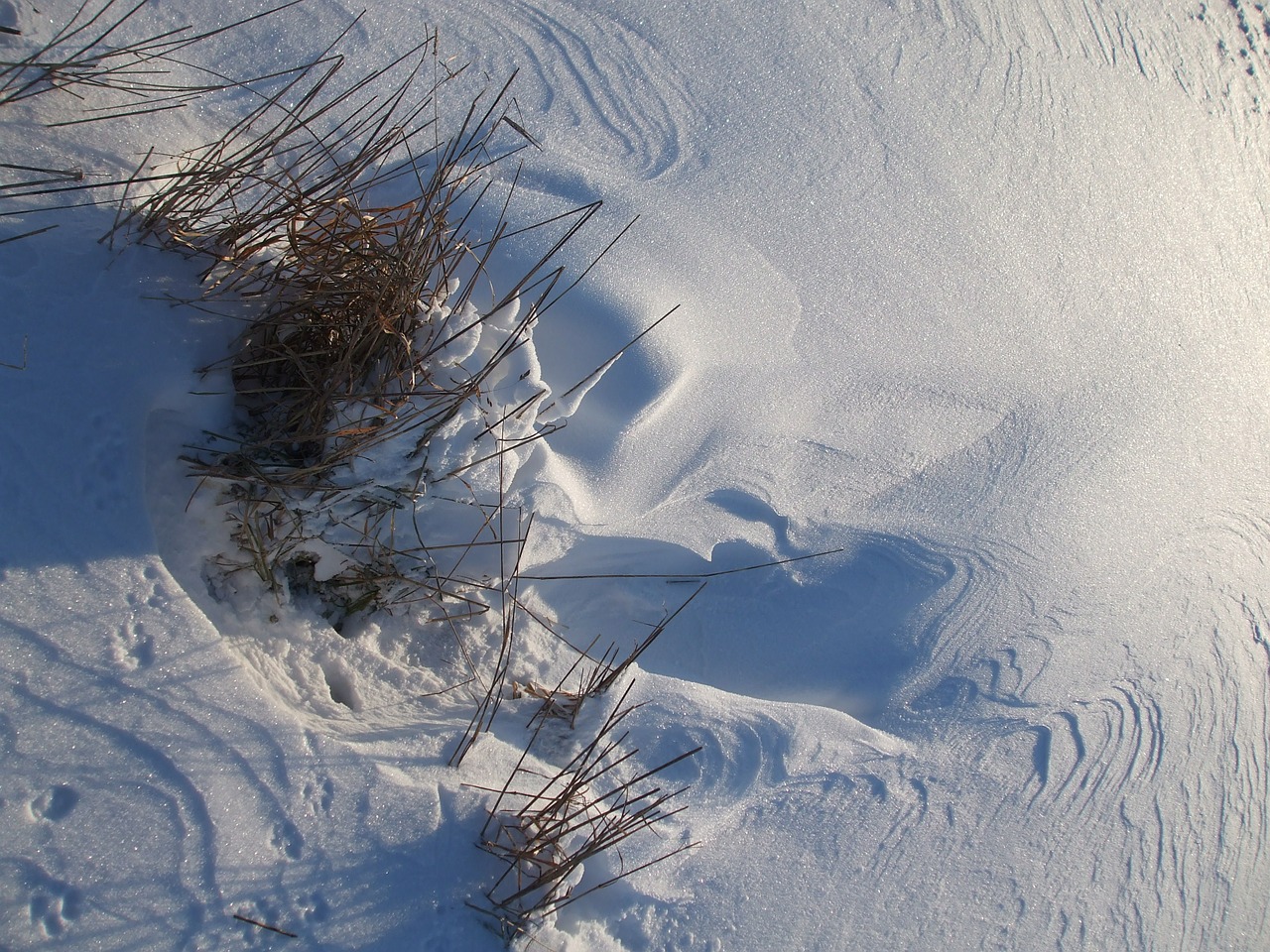 snow traces drift free photo
