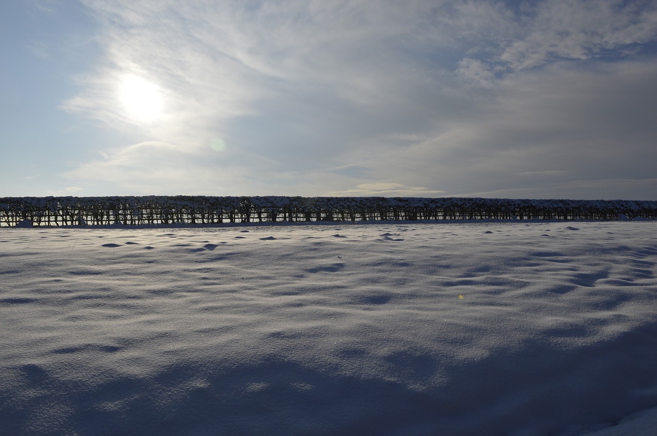 snow landscape sun free photo