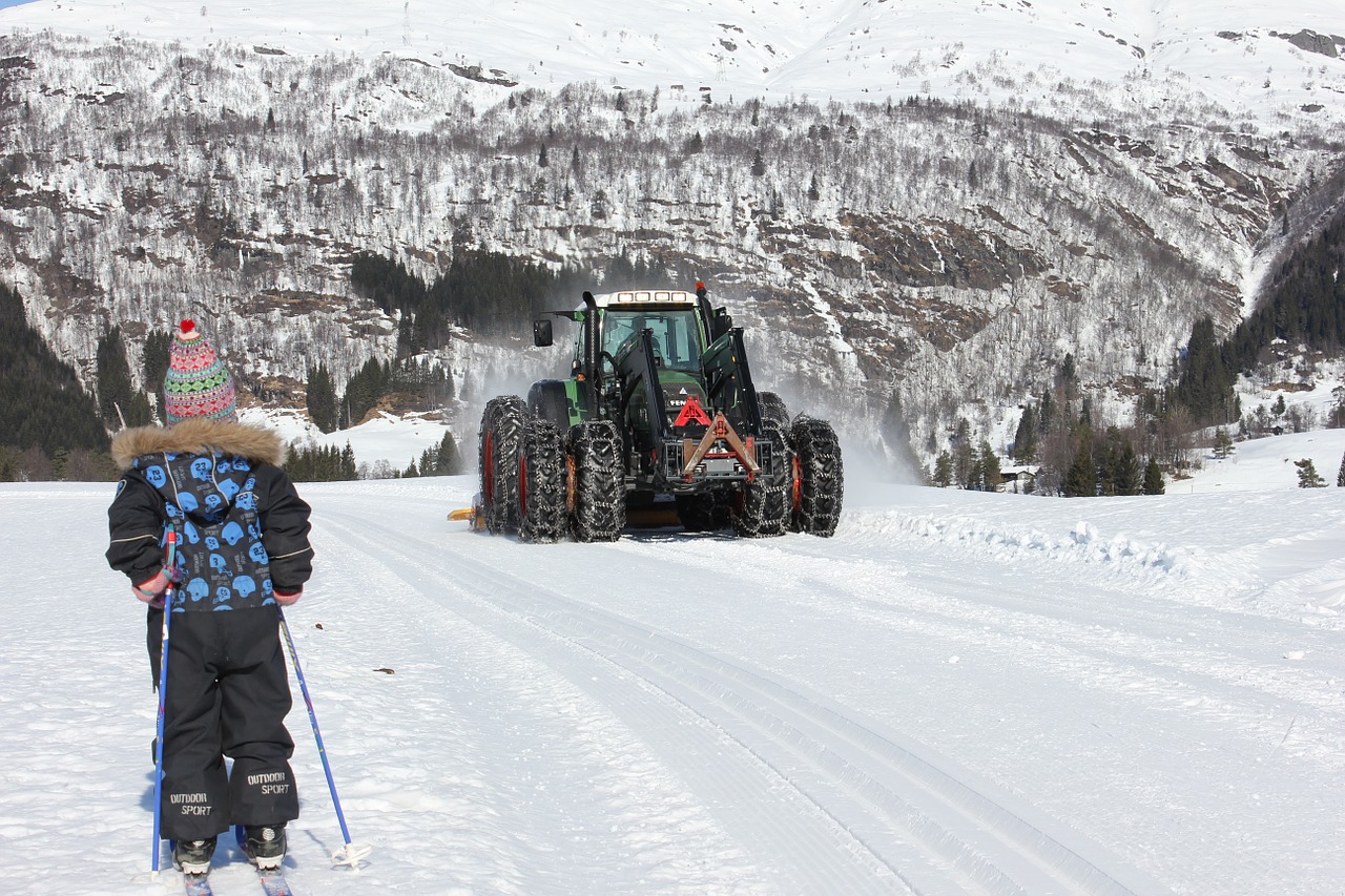 snow winter cross country skiing free photo