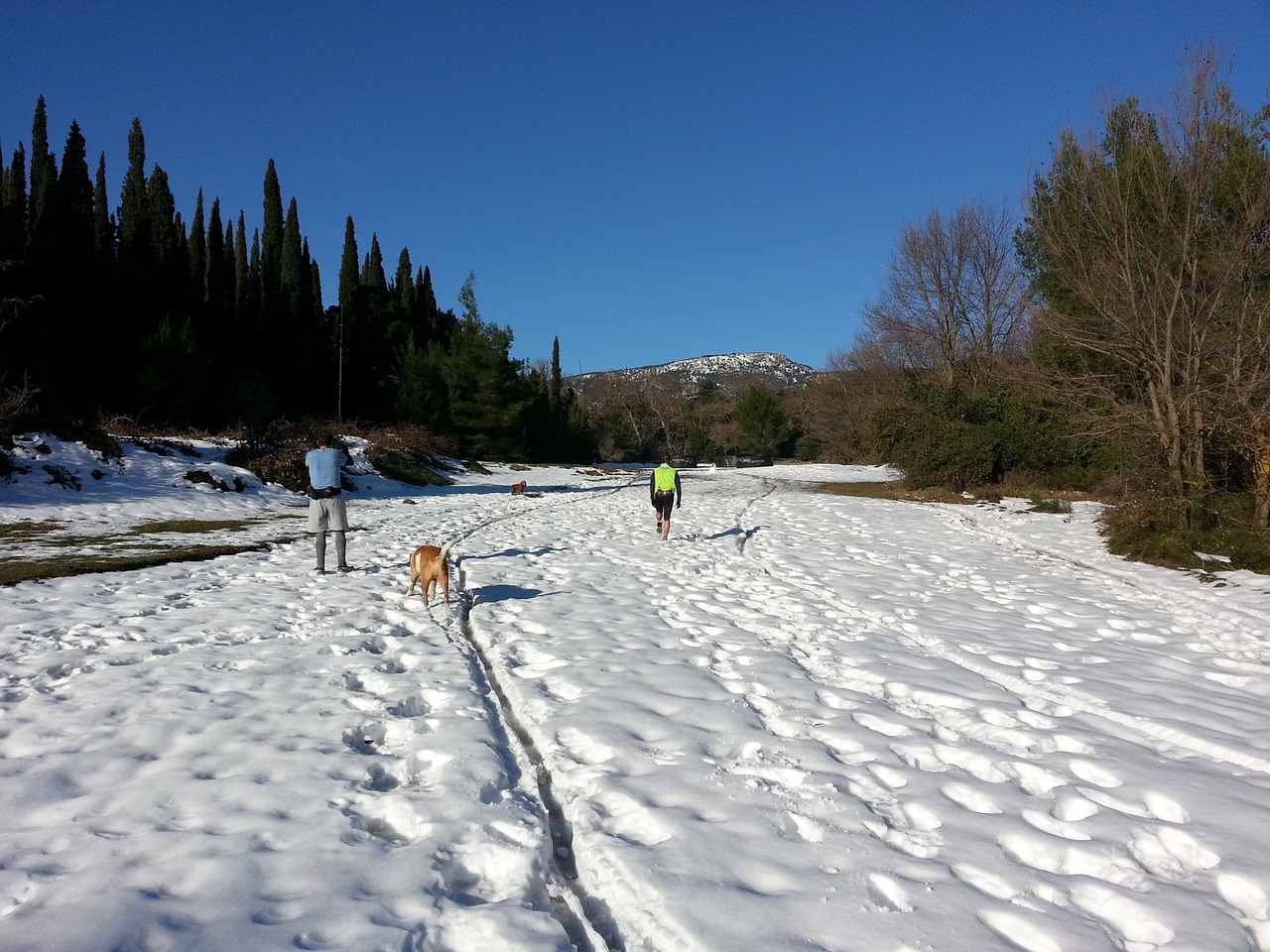 snow hike mountain free photo