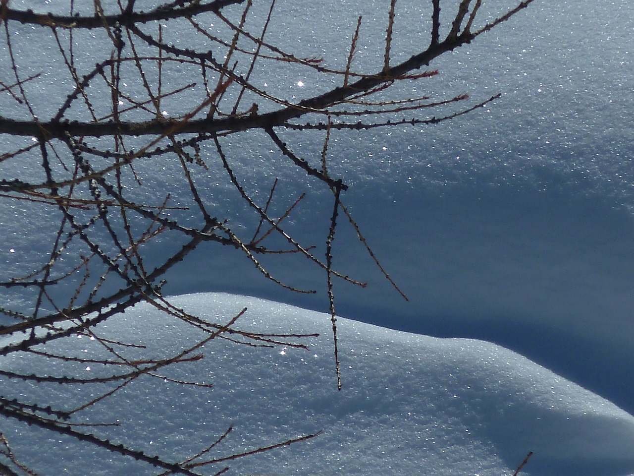 snow crystal white free photo