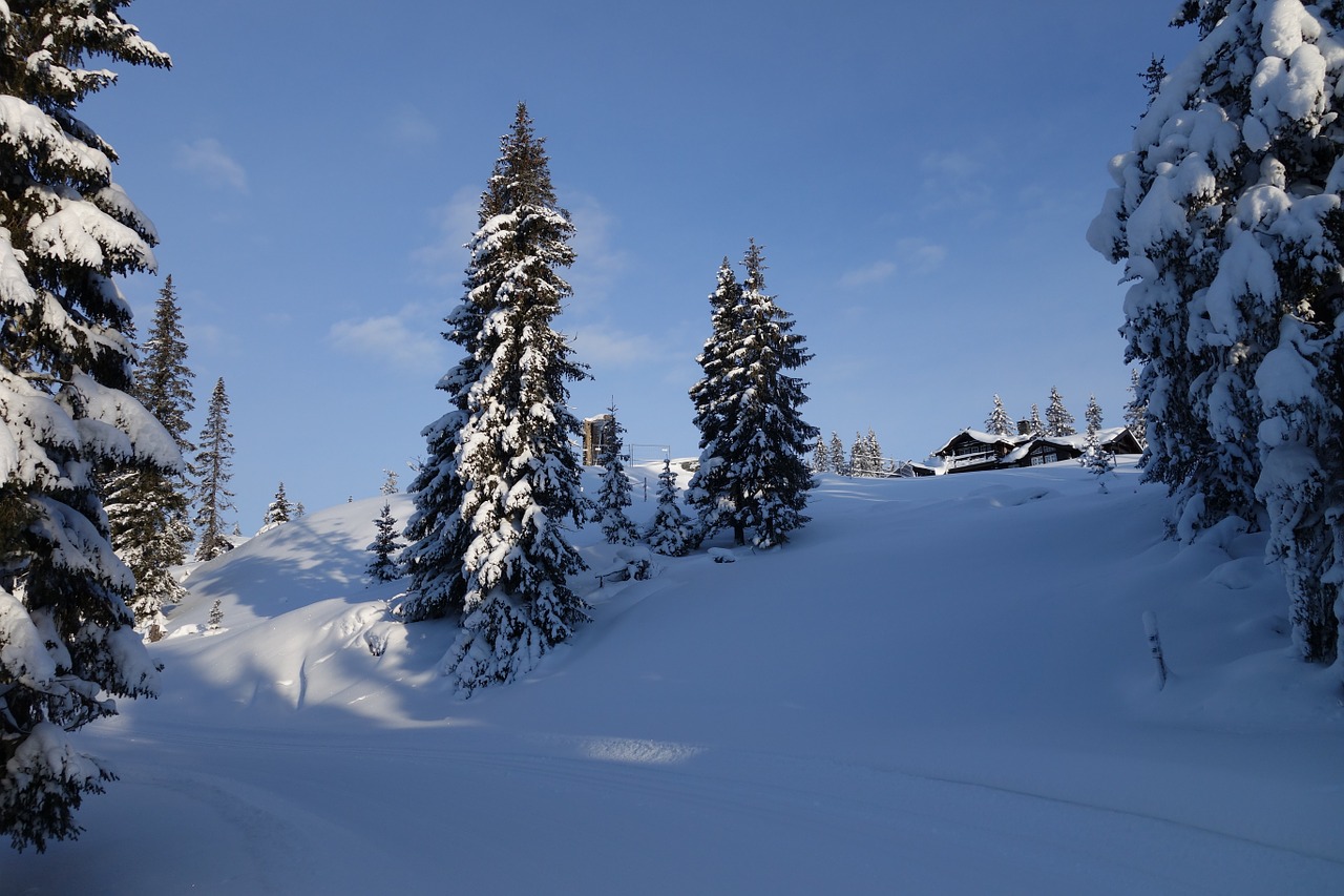 snow winter mountain free photo