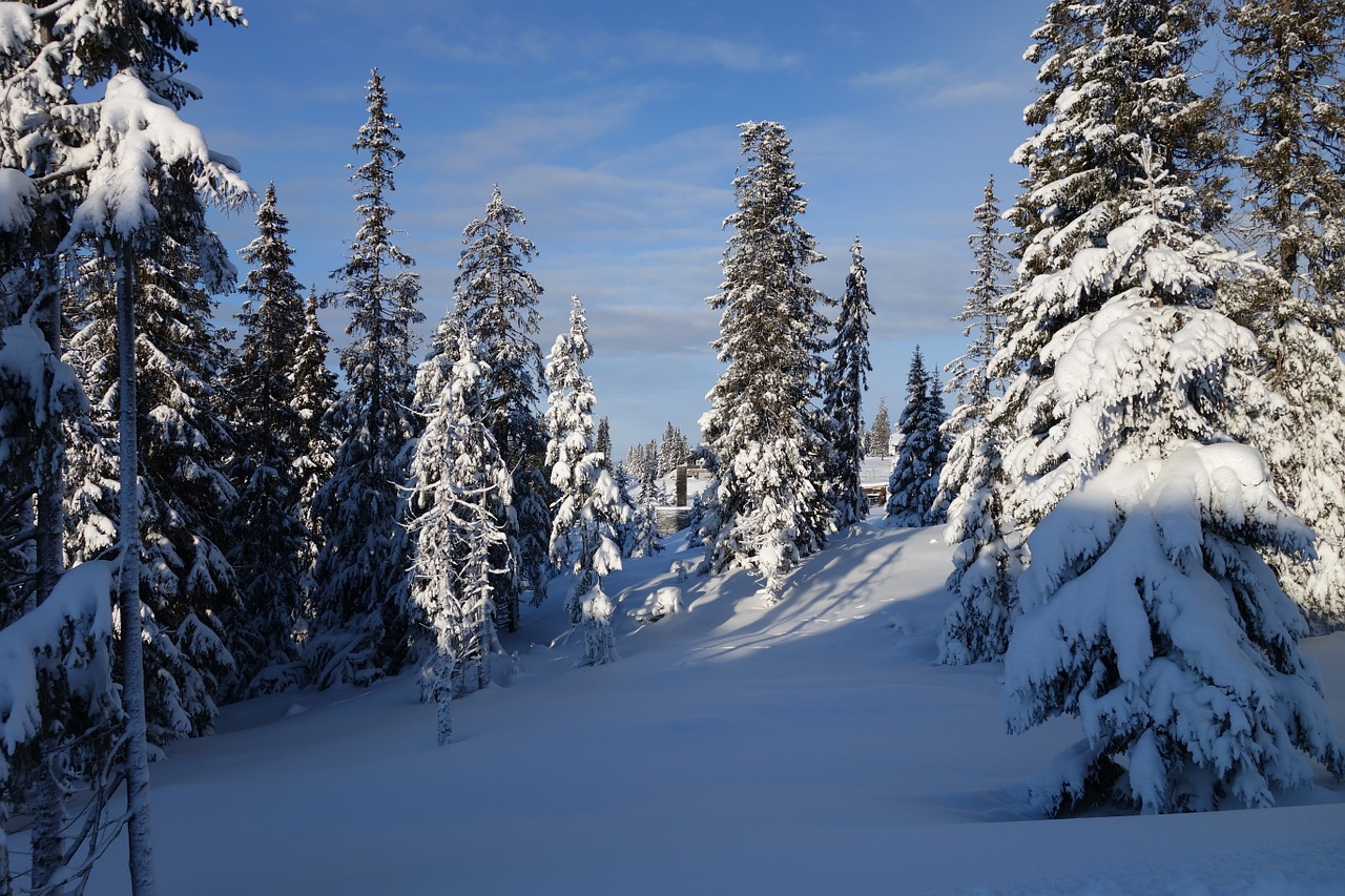 snow winter mountain free photo