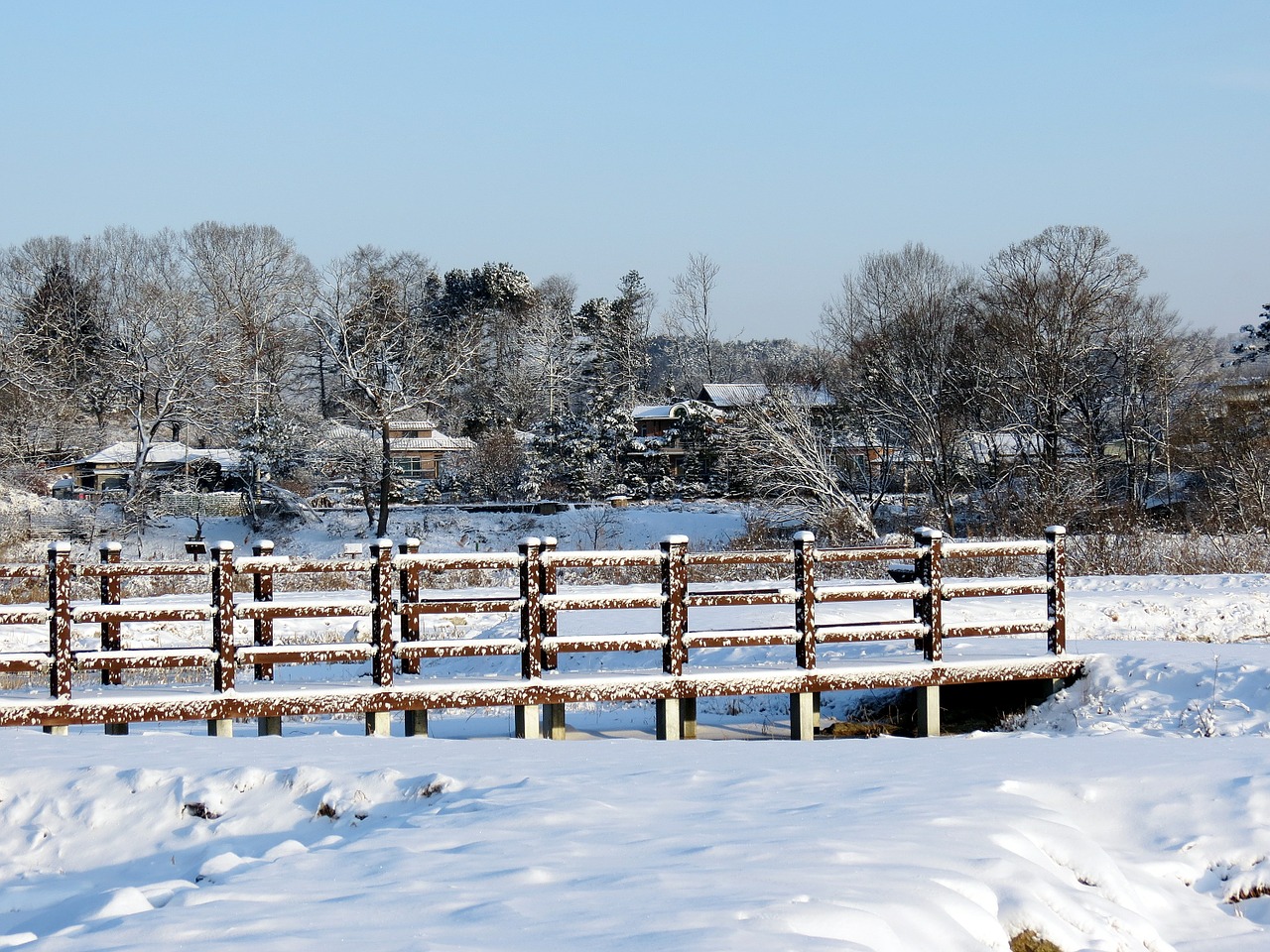 snow winter landscape free photo