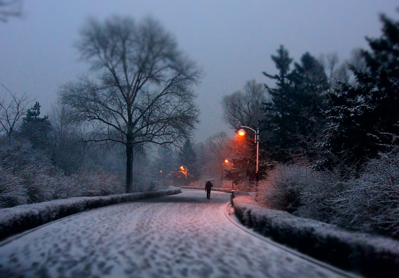 snow photography snow road free photo