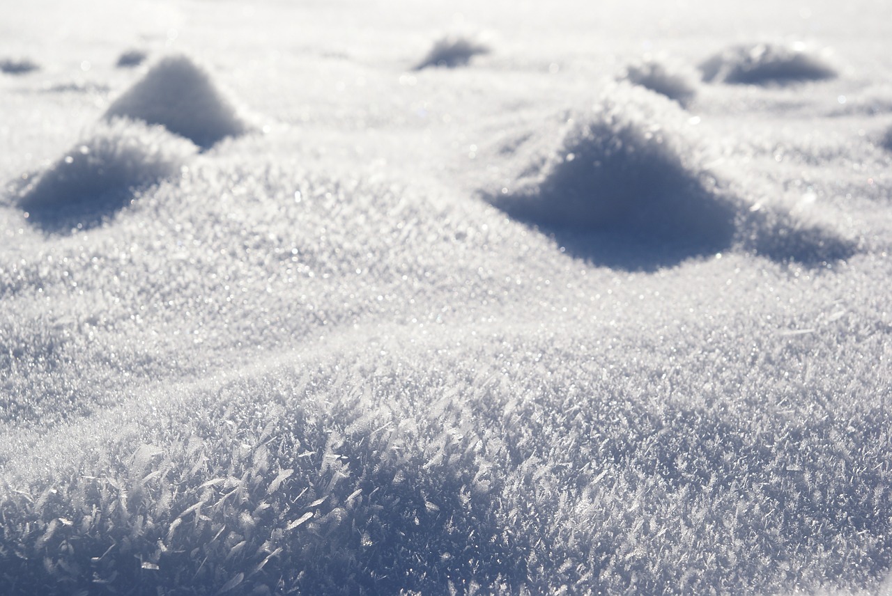 snow landscape winter free photo