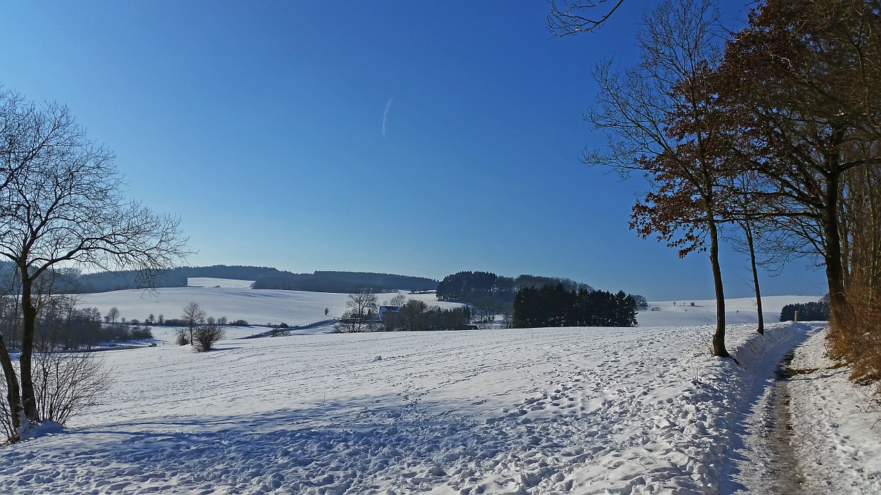 snow winter sun free photo