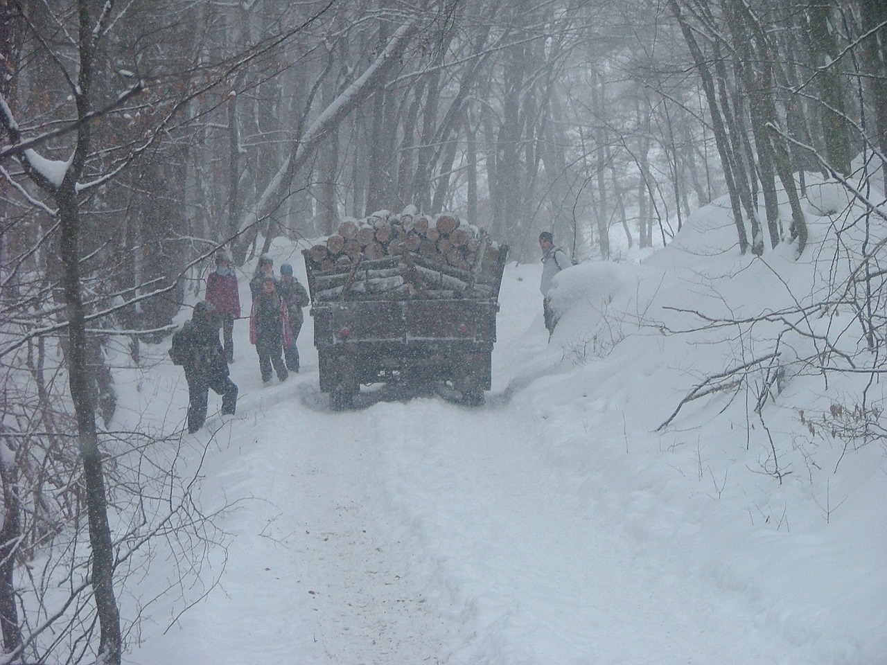 snow forest wood-cutting free photo