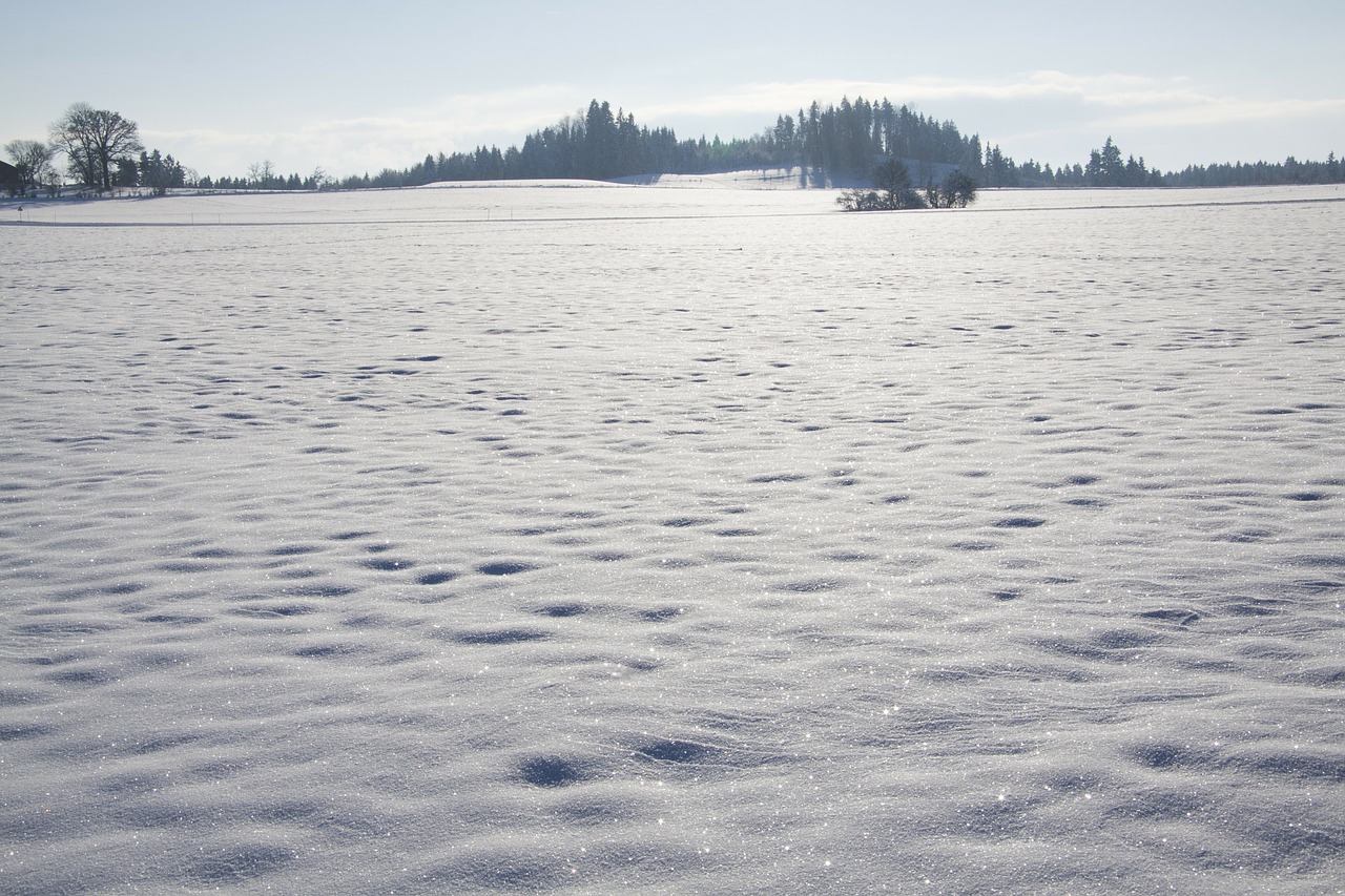 snow cold sparkle free photo