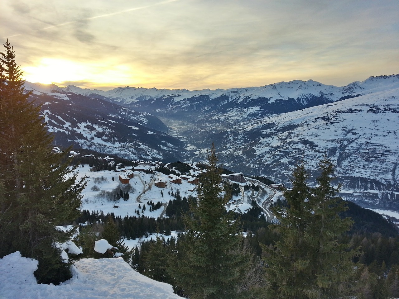 snow trees alpine free photo