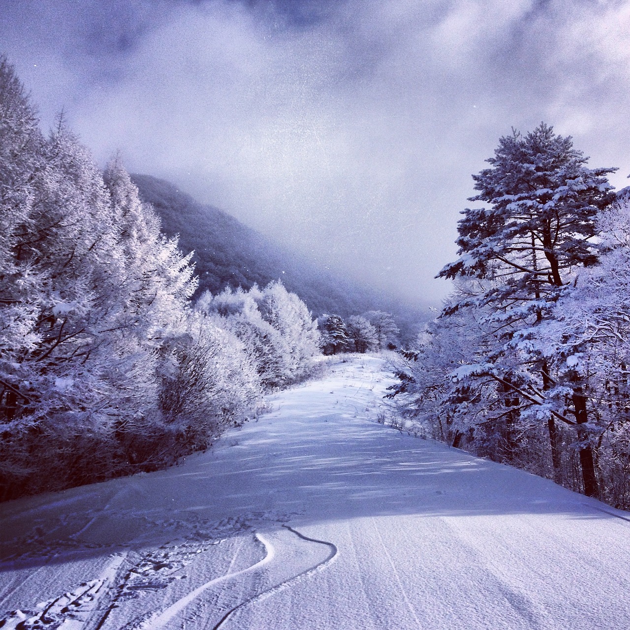 snow mountain winter free photo