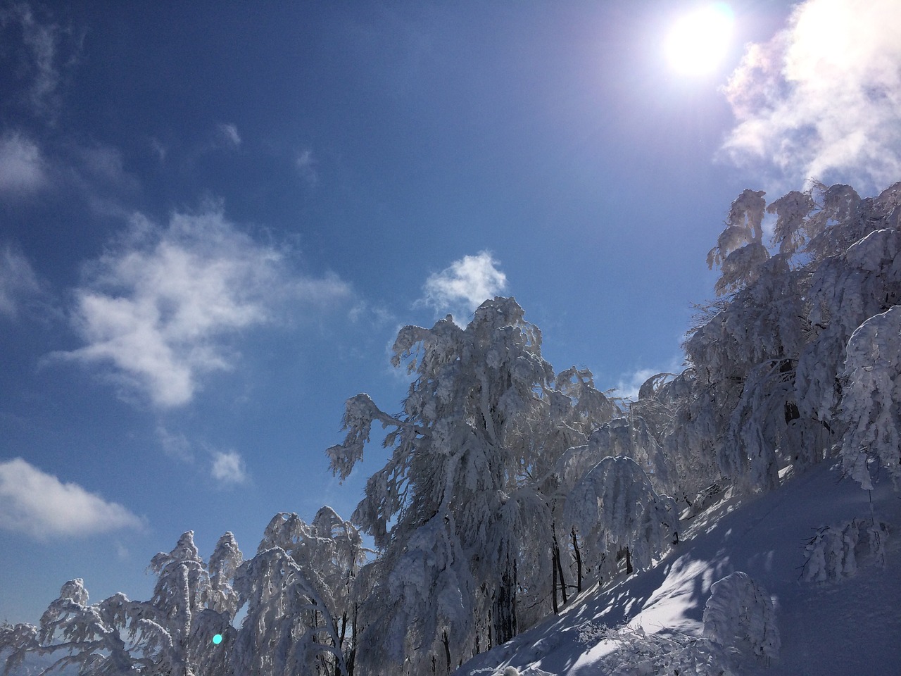 snow mountain white free photo