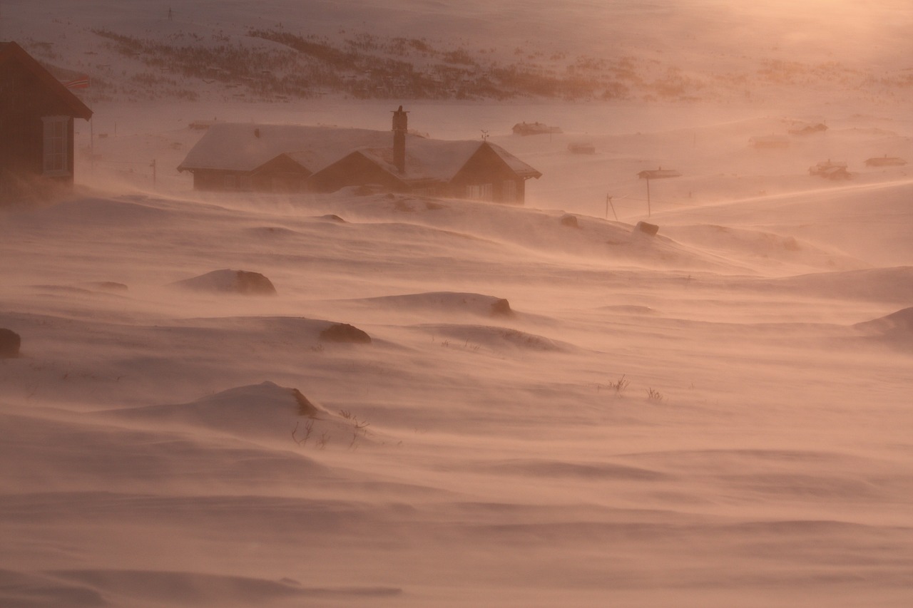 snow wind norway free photo