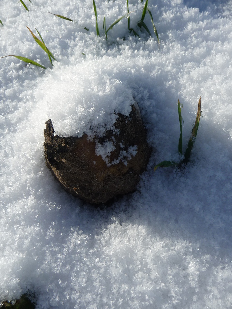 snow stone nature free photo