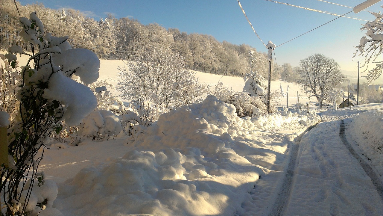 snow landscape winter blast free photo