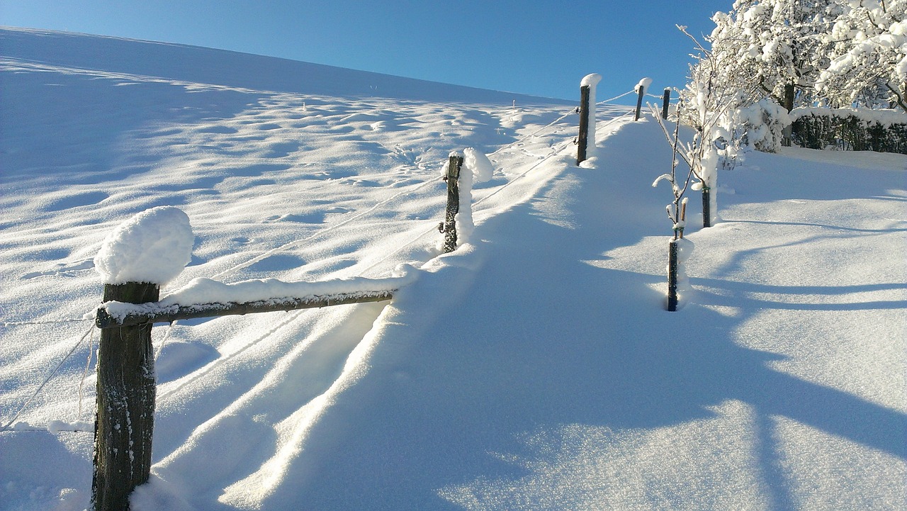 snow landscape winter blast free photo