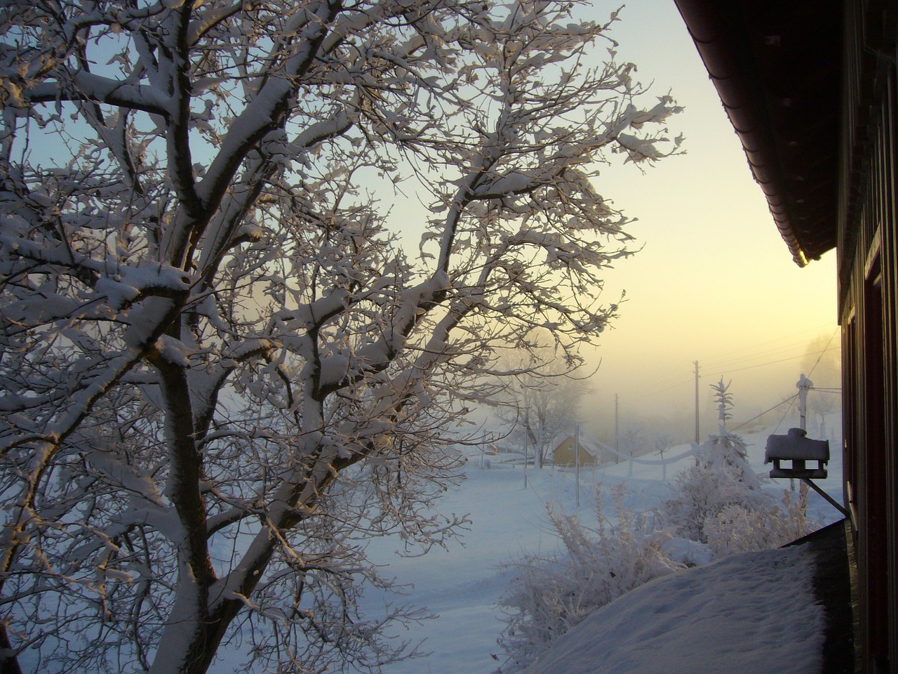 snow winter blast landscape free photo