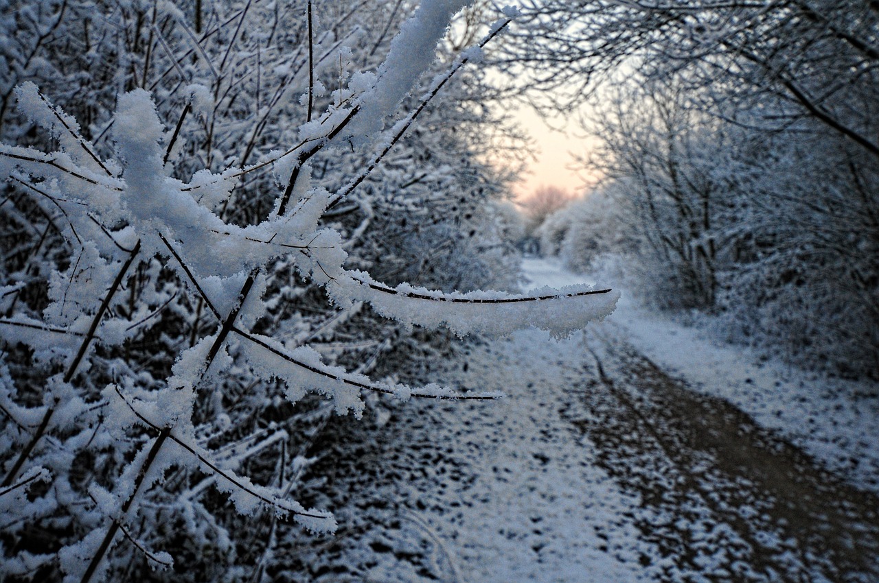 snow path aurora free photo