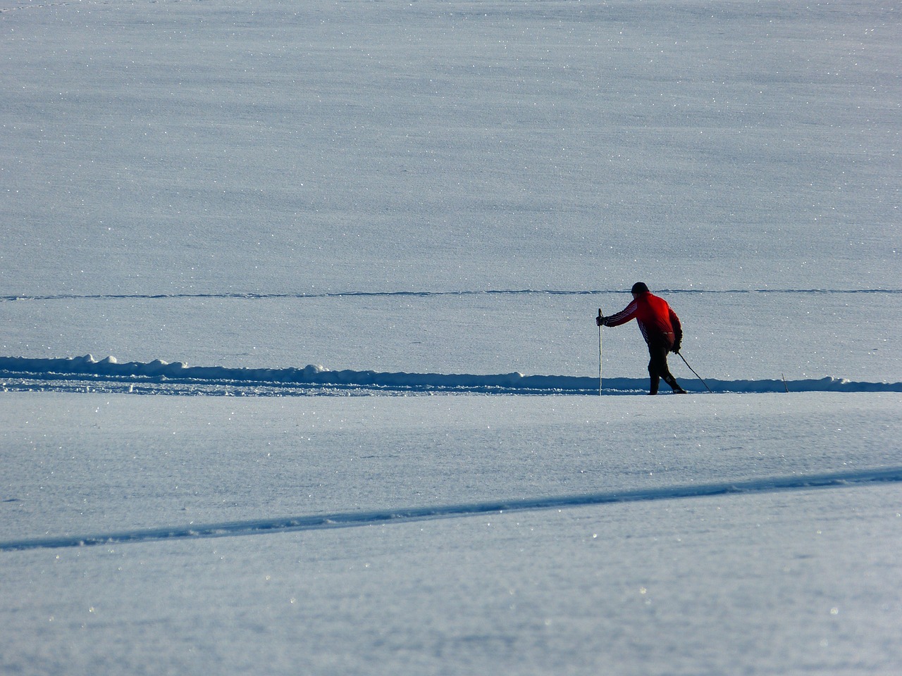 snow trail cross country skiing free photo