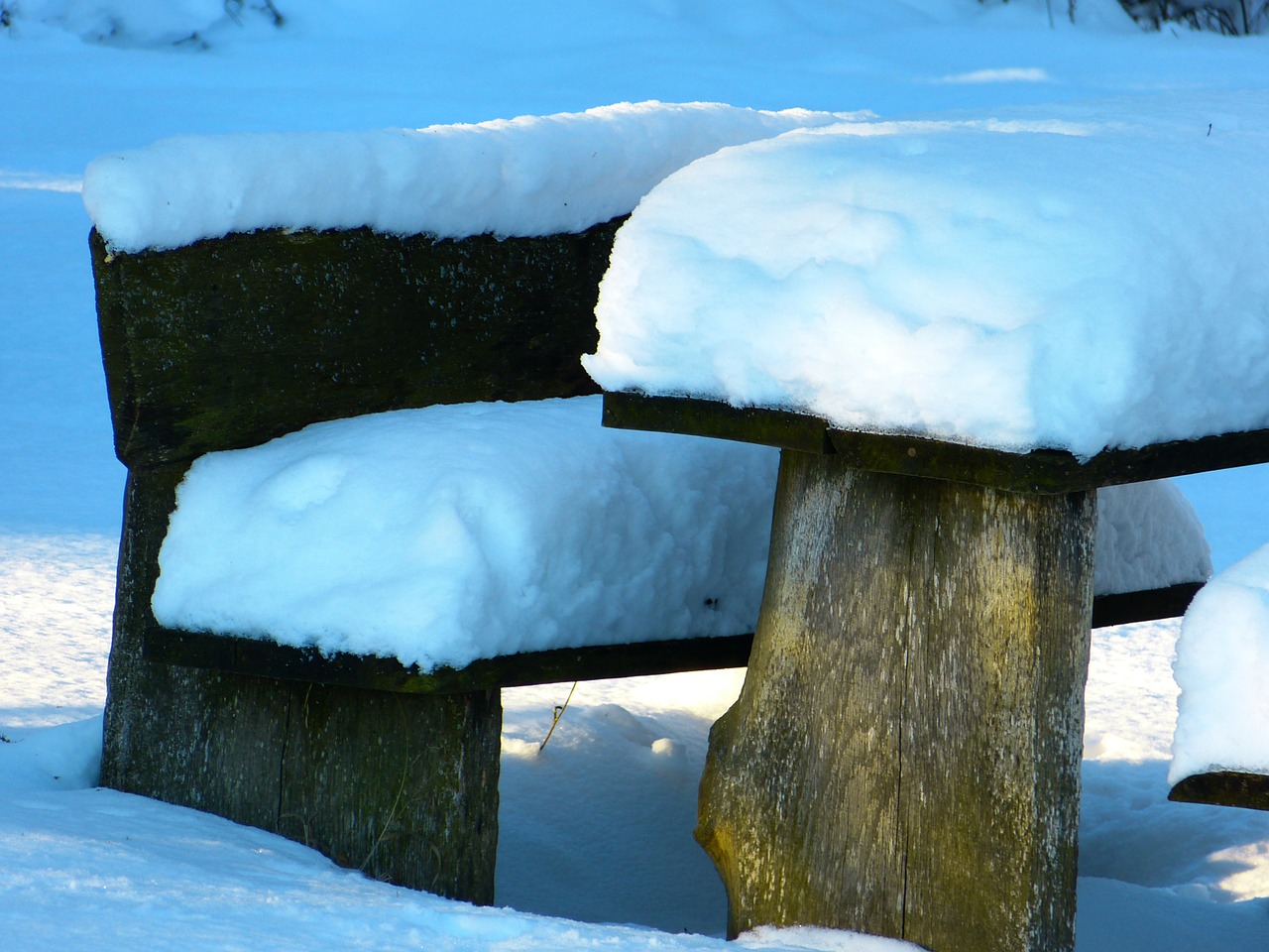 snow snowy bank free photo