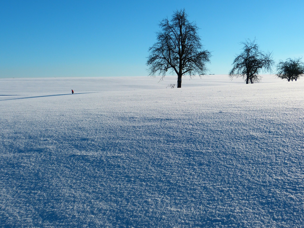 snow traces winter free photo