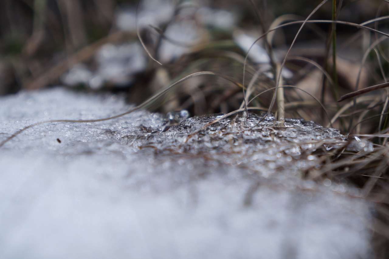 snow macro grass free photo