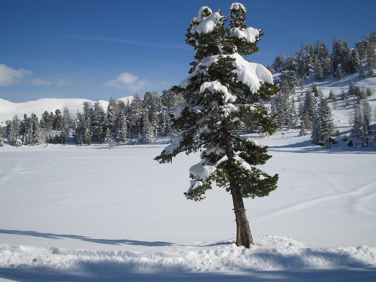 snow lake winter free photo