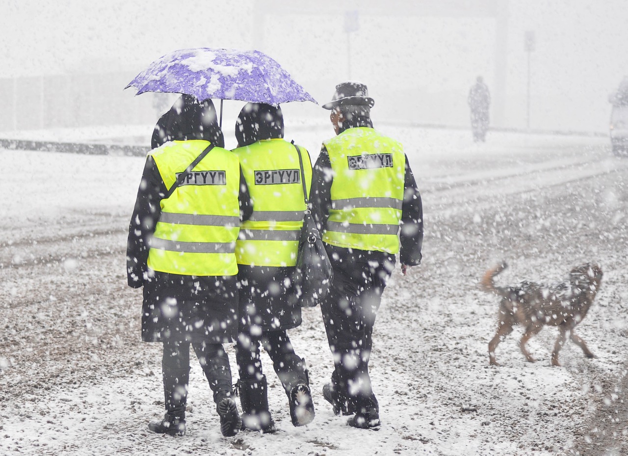 snow patrols umbrella free photo