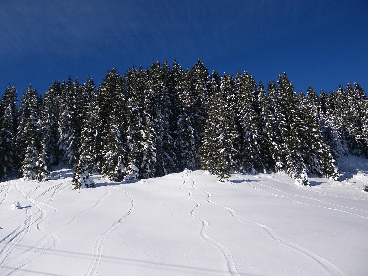 snow ski trace free photo