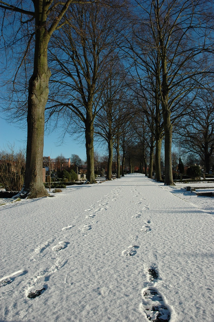 snow footstep winter free photo