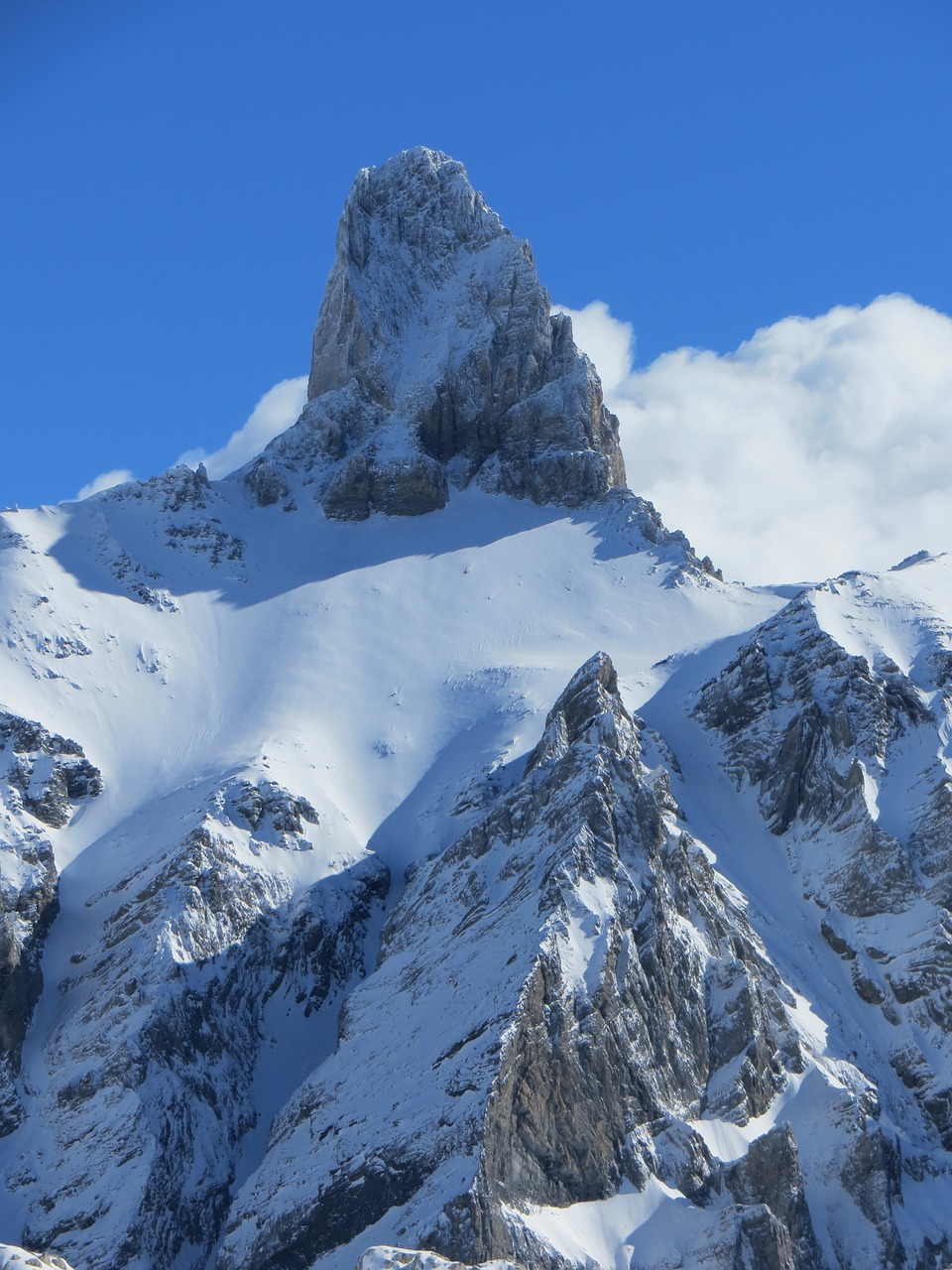 snow snowy mountain free photo