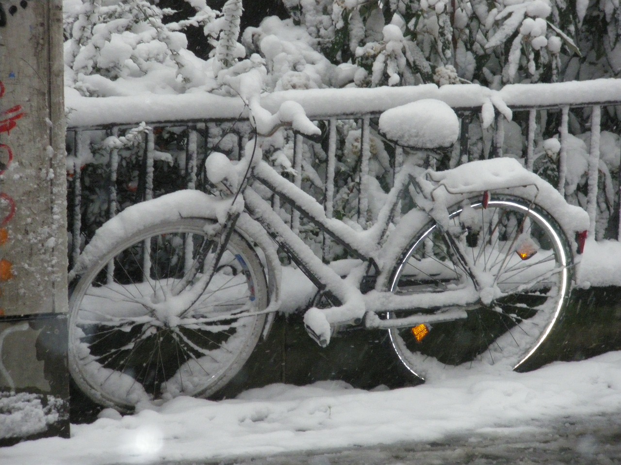 snow winter bike free photo