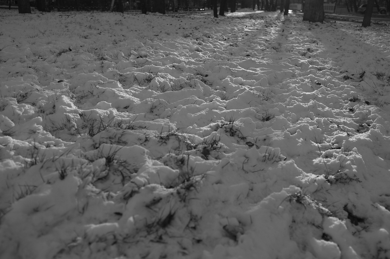 snow winter black and white free photo