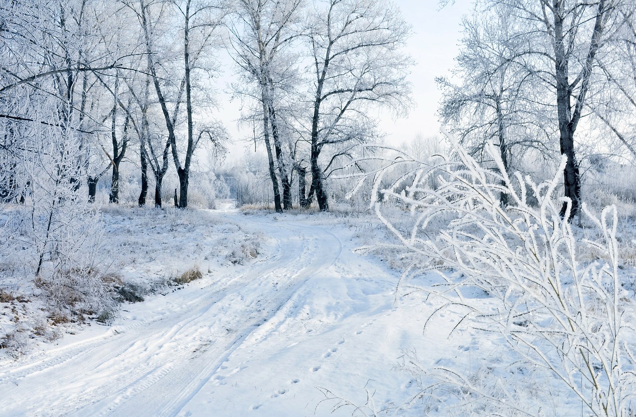 snow winter landscape free photo