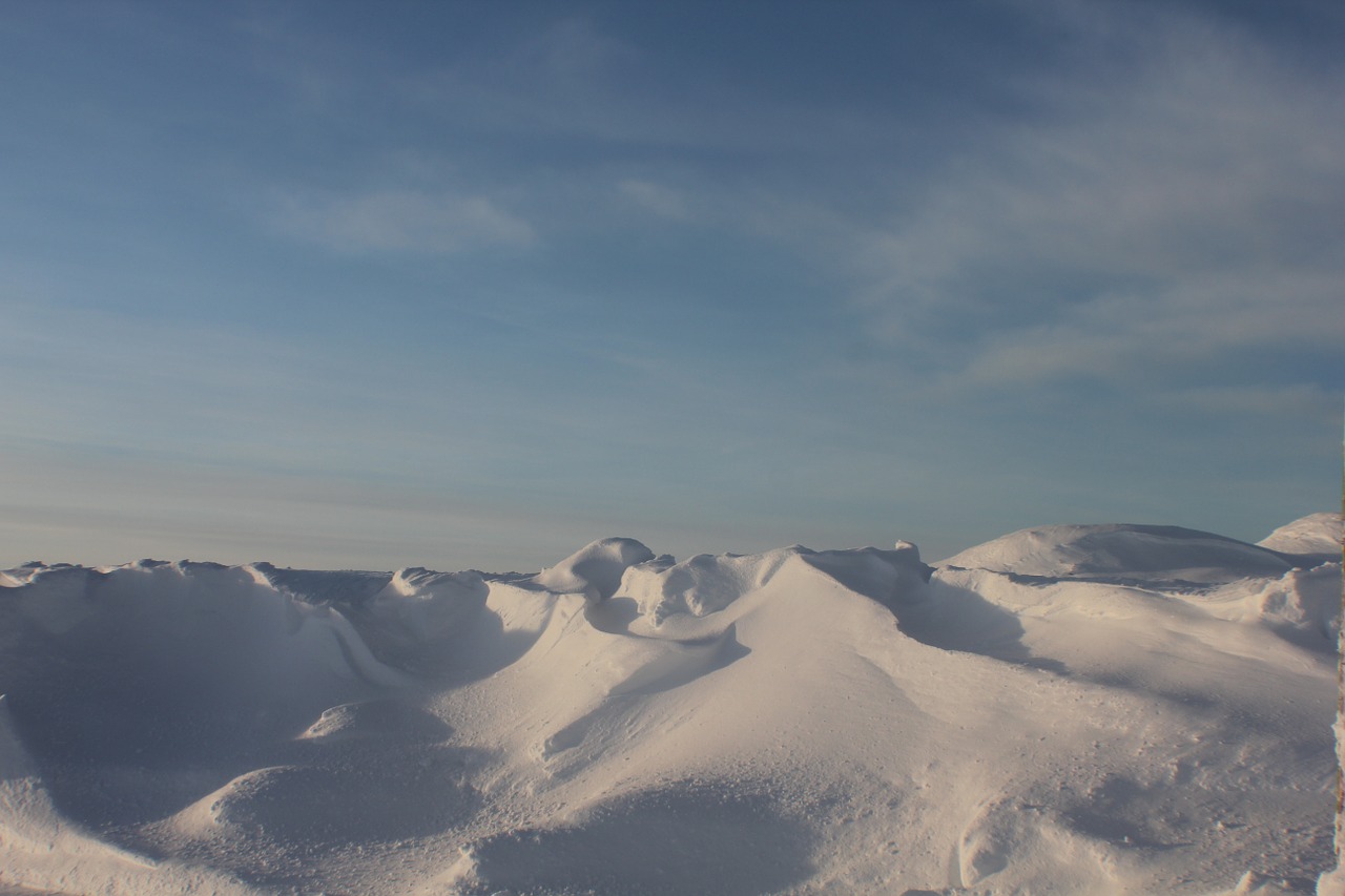 snow landscape frozen free photo