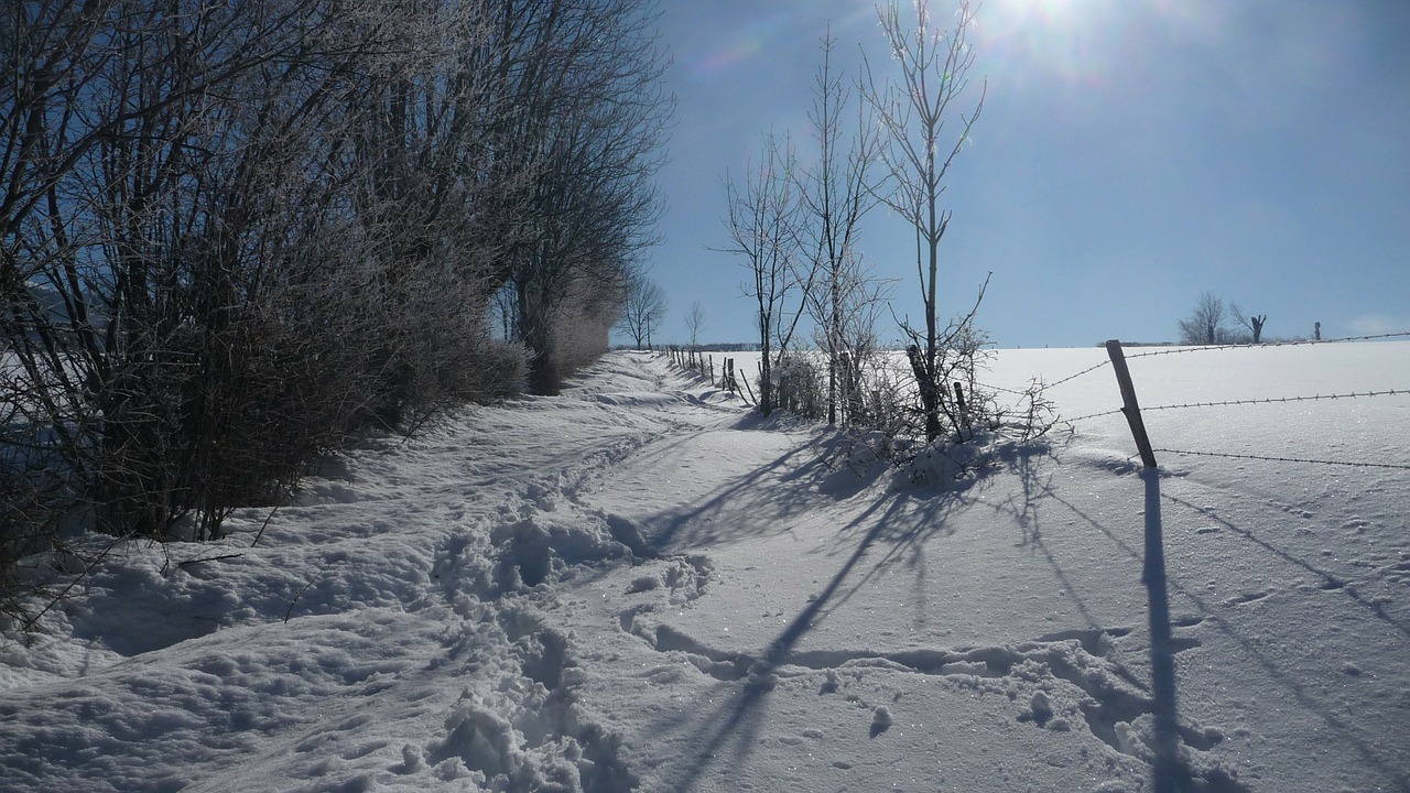 snow winter nature free photo