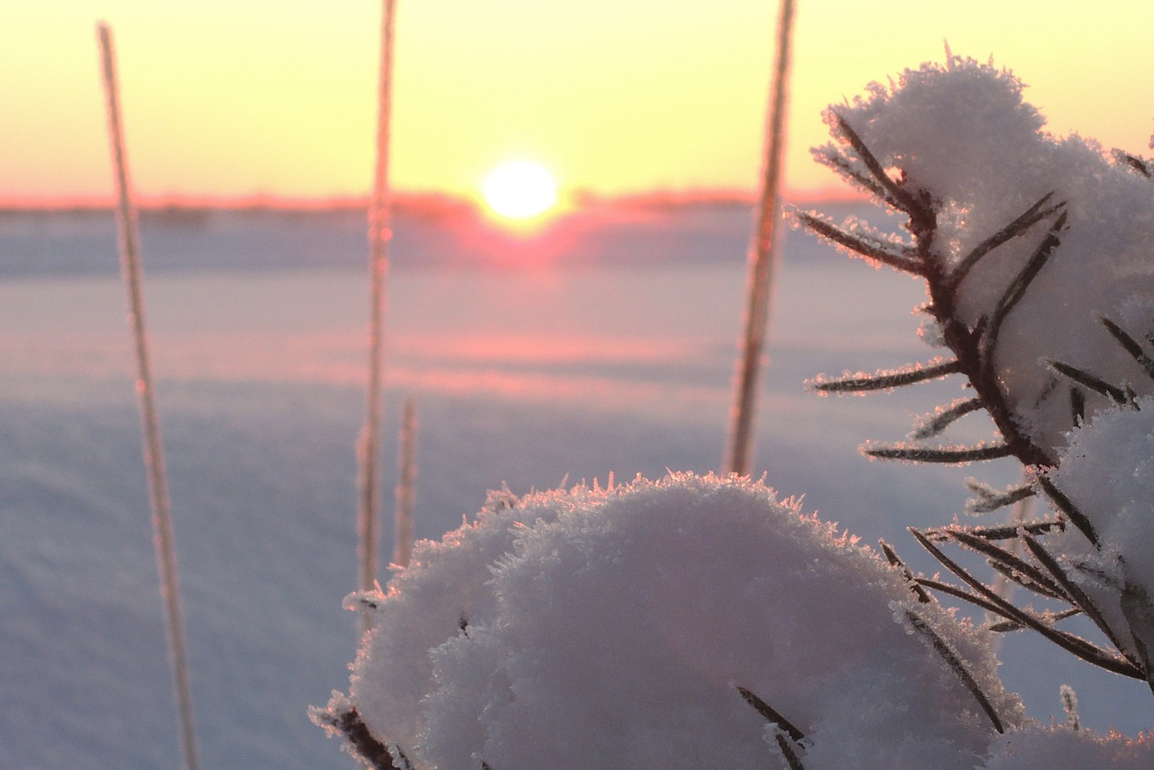 snow winter sun free photo