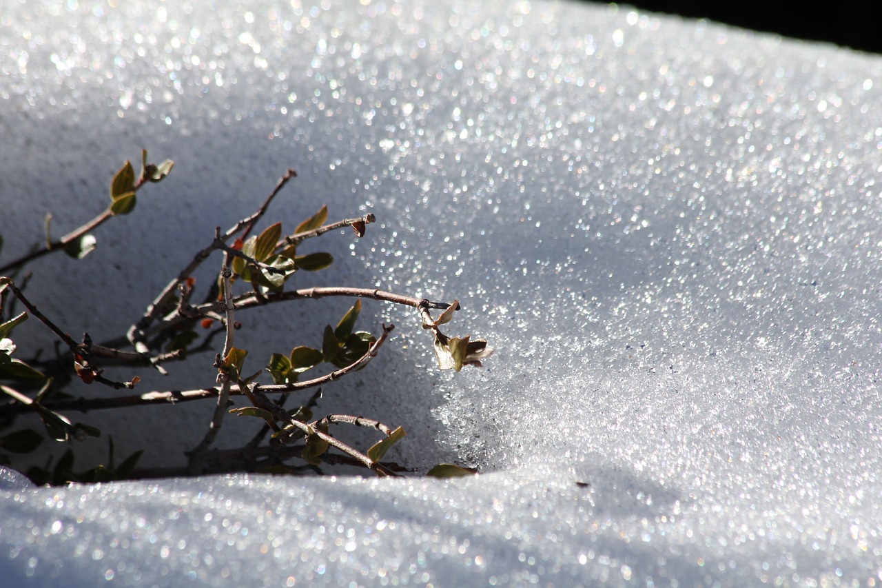 snow sun mountain landscape free photo